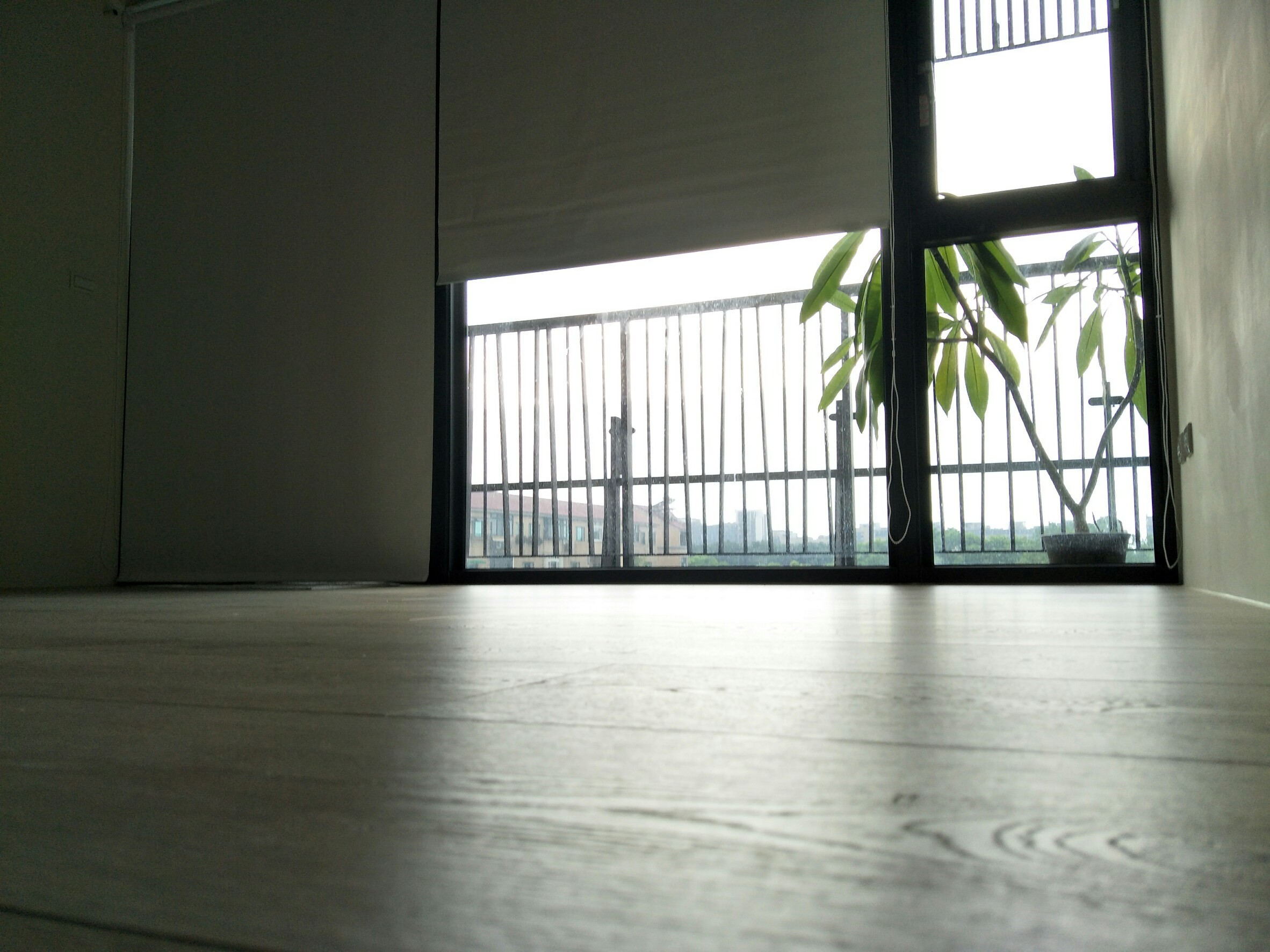 苗栗竹南全室遮光捲簾窗簾