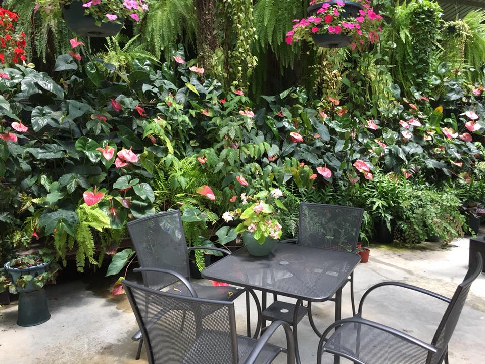 台灣花鳥園窗簾案例推薦新竹竹北沐爾窗簾案例分享 6