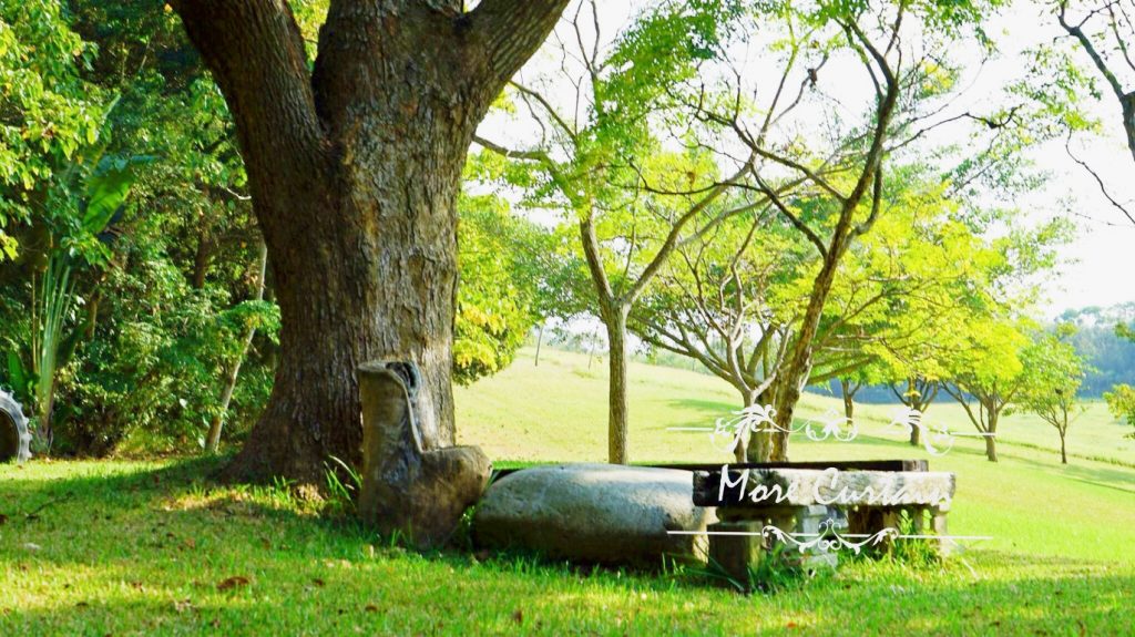 苗栗窗簾推薦案例通宵 南窩綠丘案例分享5苗栗窗簾推薦店沐爾