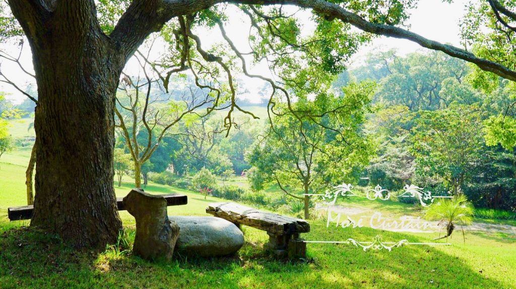 苗栗窗簾推薦案例通宵 南窩綠丘案例分享6苗栗窗簾推薦店沐爾