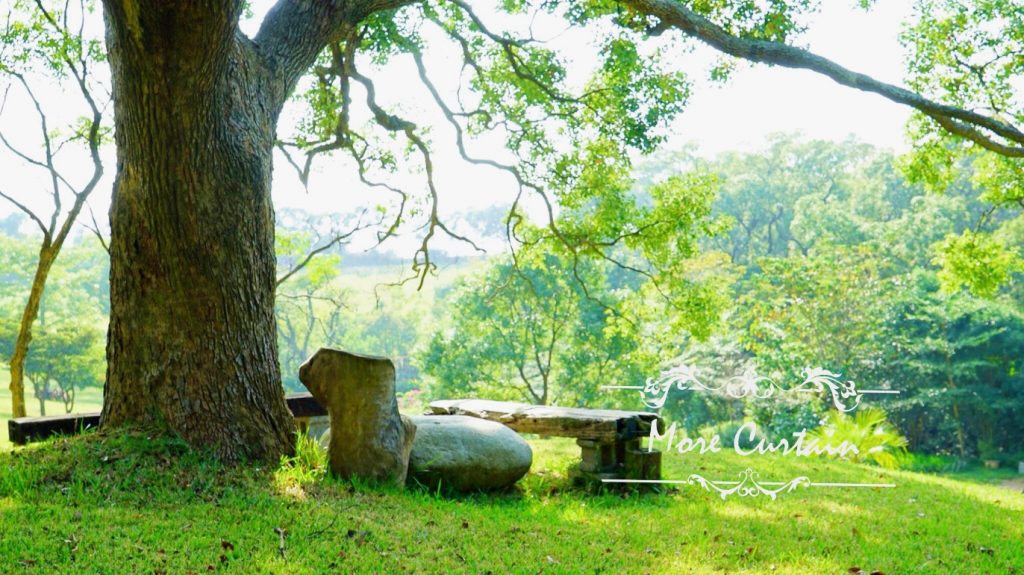 苗栗窗簾推薦案例通宵 南窩綠丘案例分享7苗栗窗簾推薦店沐爾