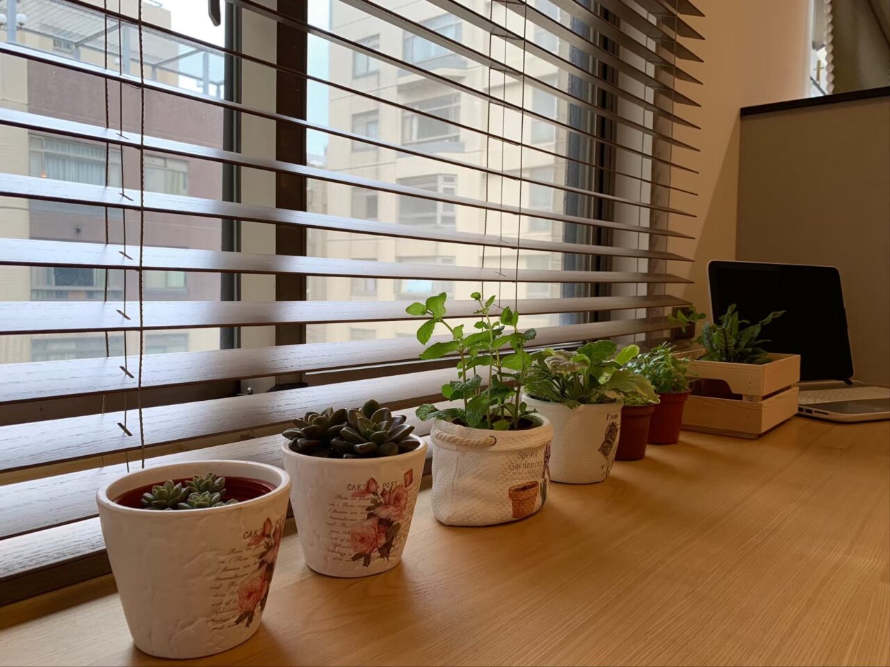 木百葉簾